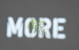 a blurry picture of the word more on a wall