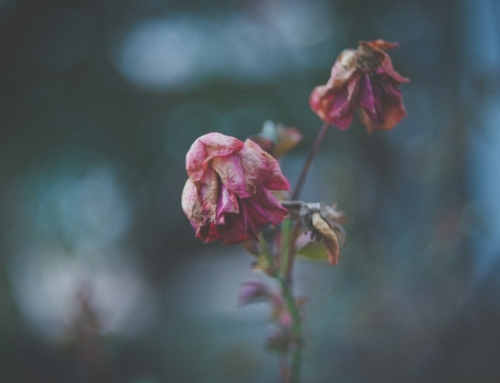 #407 Is This Era of Teaching Dead? with Pam Ochoa (pt.1)