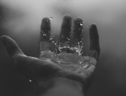#415 On Endings, Failure, and Growth